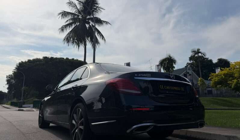
								Mercedes-Benz E-Class E250 Exclusive full									